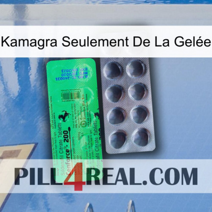 Kamagra Seulement De La Gelée new04